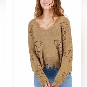 Brown Teddy Bear Sweater